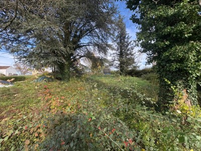 TERRAIN - LA FERTE GAUCHER - 715 m2 - VENDU