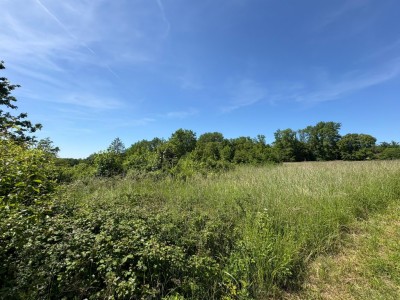 TERRAIN A VENDRE - JOUY SUR MORIN - 662 m2 - 46 000 &euro;