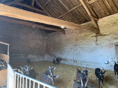 FERMETTE - LA FERTE GAUCHER - 315 m2 - VENDU
