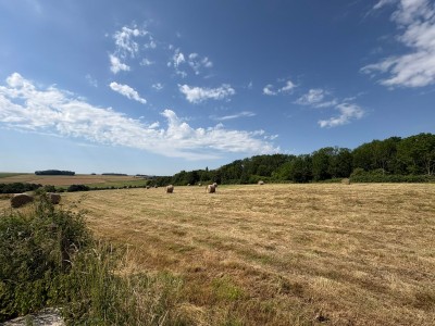 Ensemble de bâtiments + Terre Agricole A VENDRE - LA FERTE GAUCHER - 129 000 €