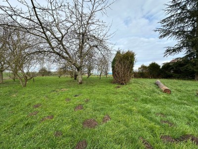 MAISON A VENDRE - BETON BAZOCHES - 140 m2 - 255000€