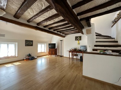 MAISON A VENDRE - LA FERTE GAUCHER - 261 m2 - 369000 €
