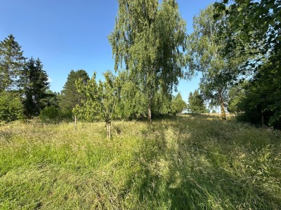 PROPRIETE A VENDRE - LA FERTE GAUCHER - 623.03 m2 - 529000€