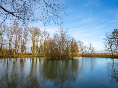PROPRIETE A VENDRE - LA FERTE GAUCHER - 623.03 m2 - 529000€