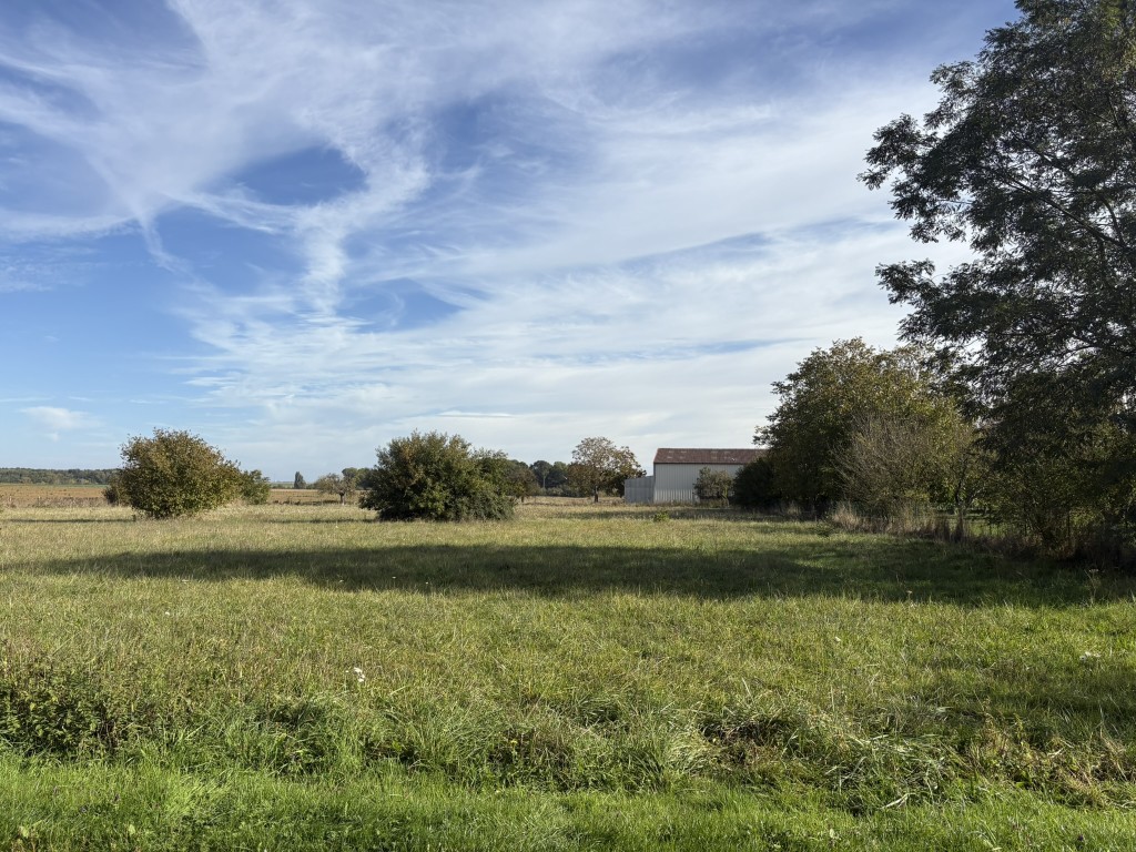 TERRAIN A VENDRE - CHOISY EN BRIE - 2237 m2 - 105 000 €