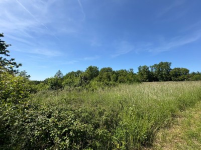 TERRAIN A VENDRE - JOUY SUR MORIN - 629 m2 - 46 000 &euro;