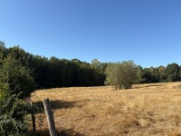 TERRAIN A BATIR A VENDRE - LA FERTE GAUCHER - 3660 m2 - 32 000 €