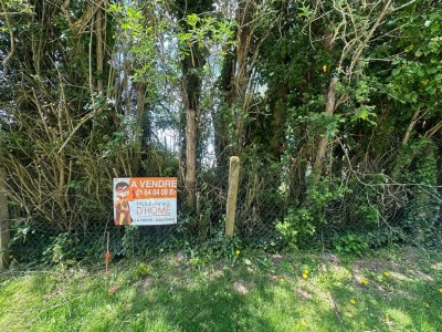 TERRAIN A VENDRE - ST MARTIN DES CHAMPS - 898 m2 - 59000€