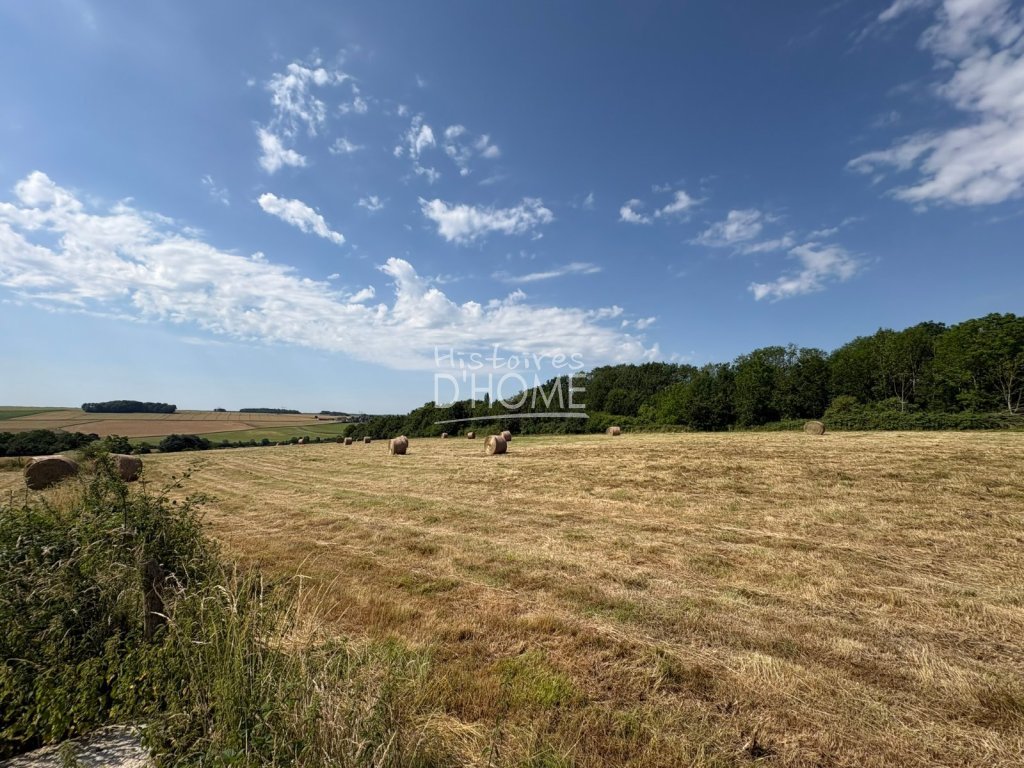 Ensemble de bâtiments + Terre Agricole A VENDRE - LA FERTE GAUCHER - 129 000 &euro;