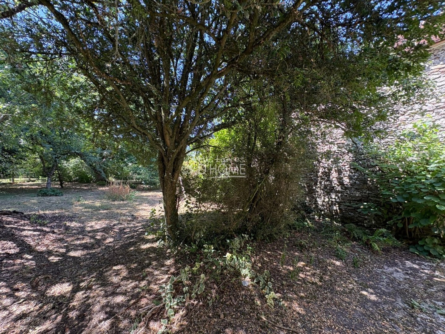 MAISON A RENOVER A VENDRE - LA FERTE GAUCHER - 90 m2 - 88 000 &euro;