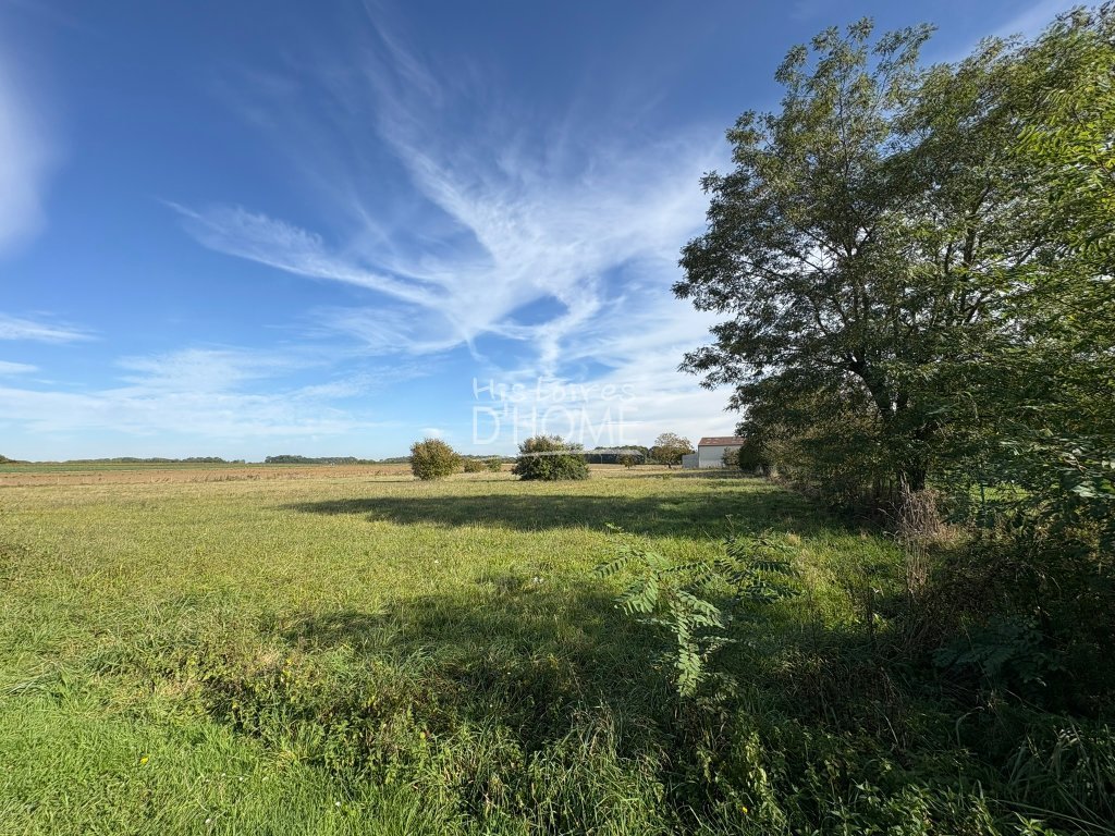 TERRAIN A VENDRE - CHOISY EN BRIE - 2237 m2 - 105 000 €