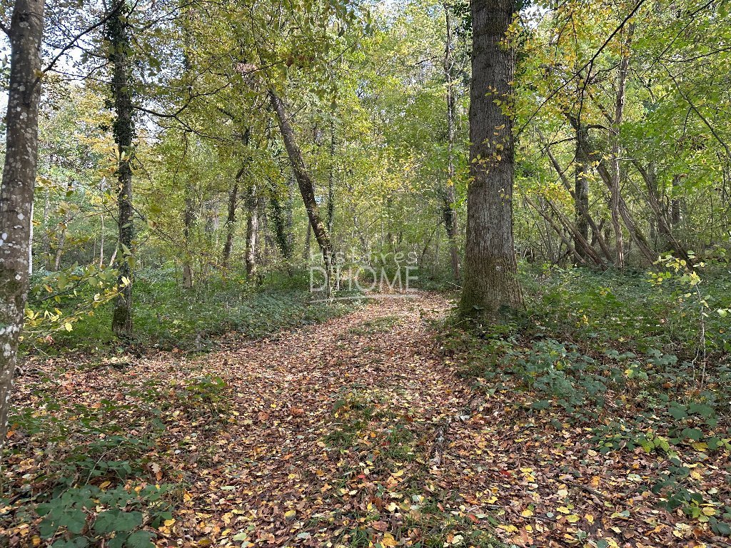 TERRAIN A VENDRE - ST SIMEON - 50246 m2 - 45�000�&euro;