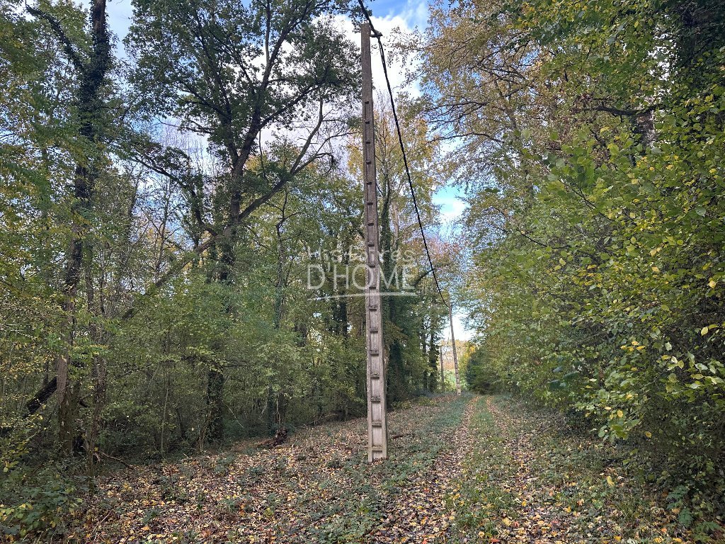 TERRAIN A VENDRE - ST SIMEON - 50246 m2 - 45�000�&euro;